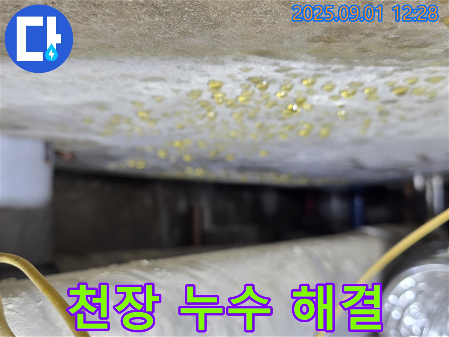 능동 아성빌라트 천장 누수 해결 - 누수 걱정 없이 쾌적한 공간으로!