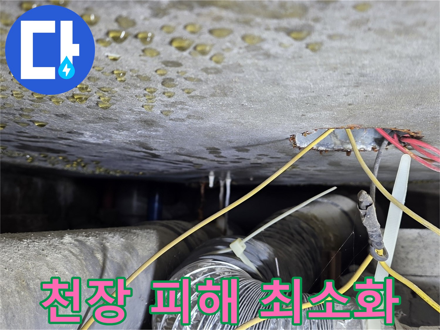 아랫집 천장 누수 - 콘크리트 균열과 배관 문제 원인