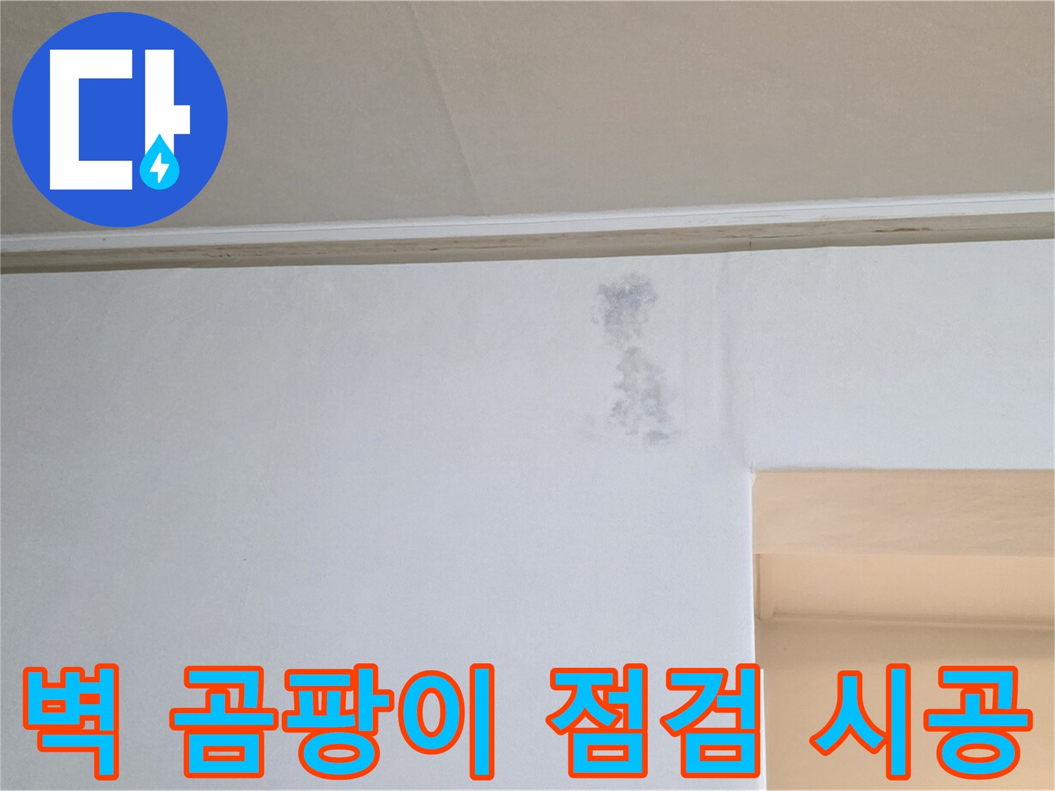 벽 곰팡이 - 꼼꼼한 점검과 확실한 시공으로 곰팡이 문제를 해결합니다.