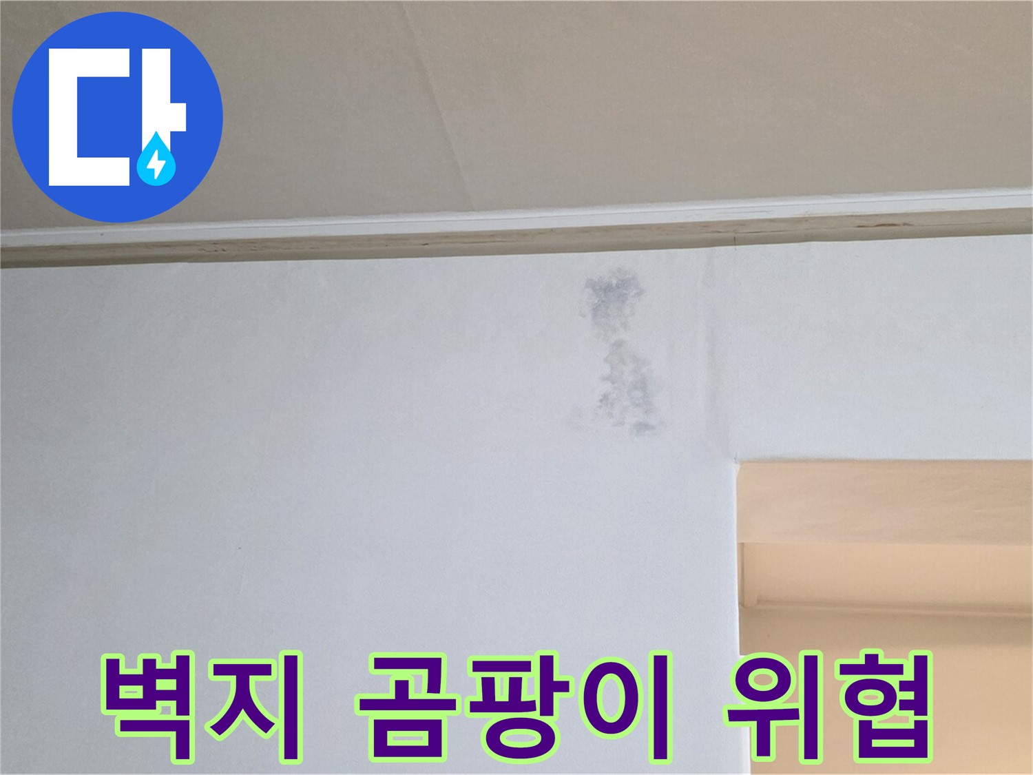 벽지 곰팡이 - 건강을 위협하는 벽지 곰팡이의 모습입니다. 즉시 전문가의 도움을 받으세요.