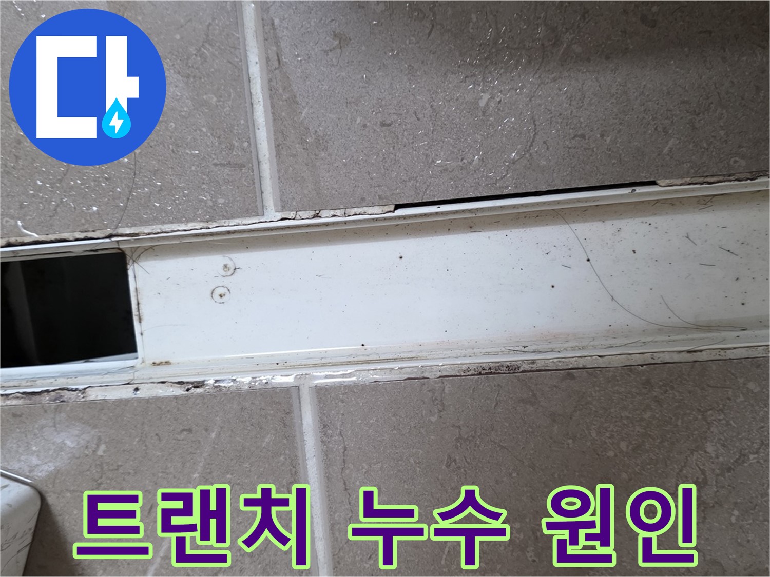 화장실 샤워부스 트랜치 사진