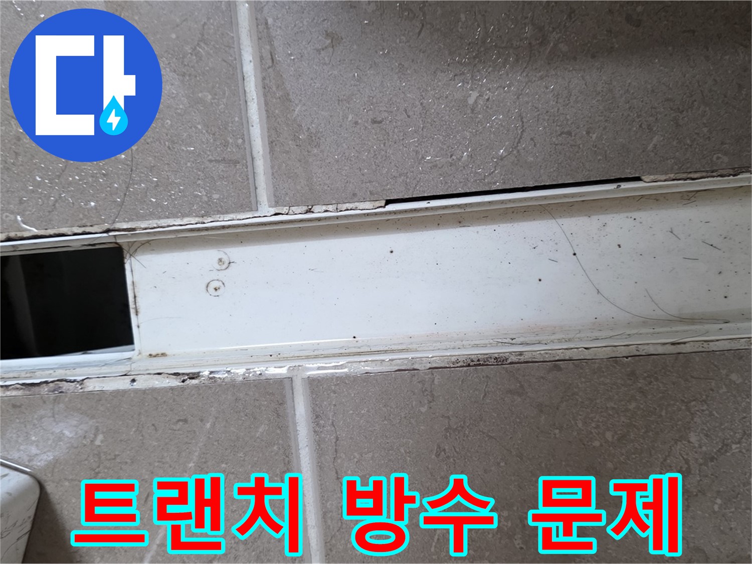 화장실 샤워부스 트랜치 사진