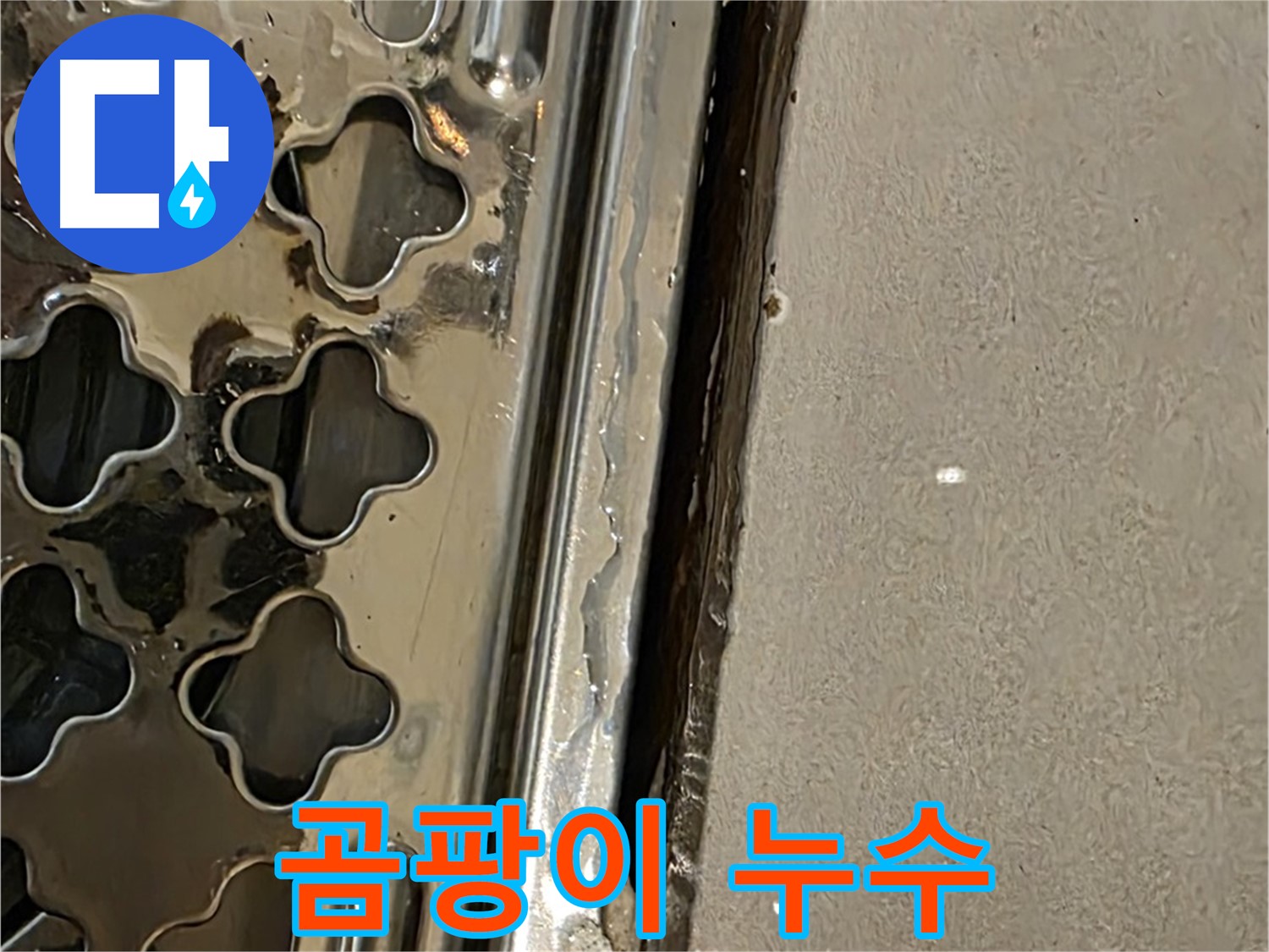 배수구 주변 곰팡이 - 습기 및 누수 지속 시 발생
