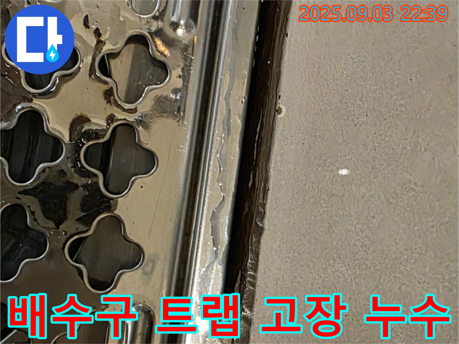 용산구 욕실 배수구 주변 배수 트랩 고장 - 트랩 파손으로 인한 누수