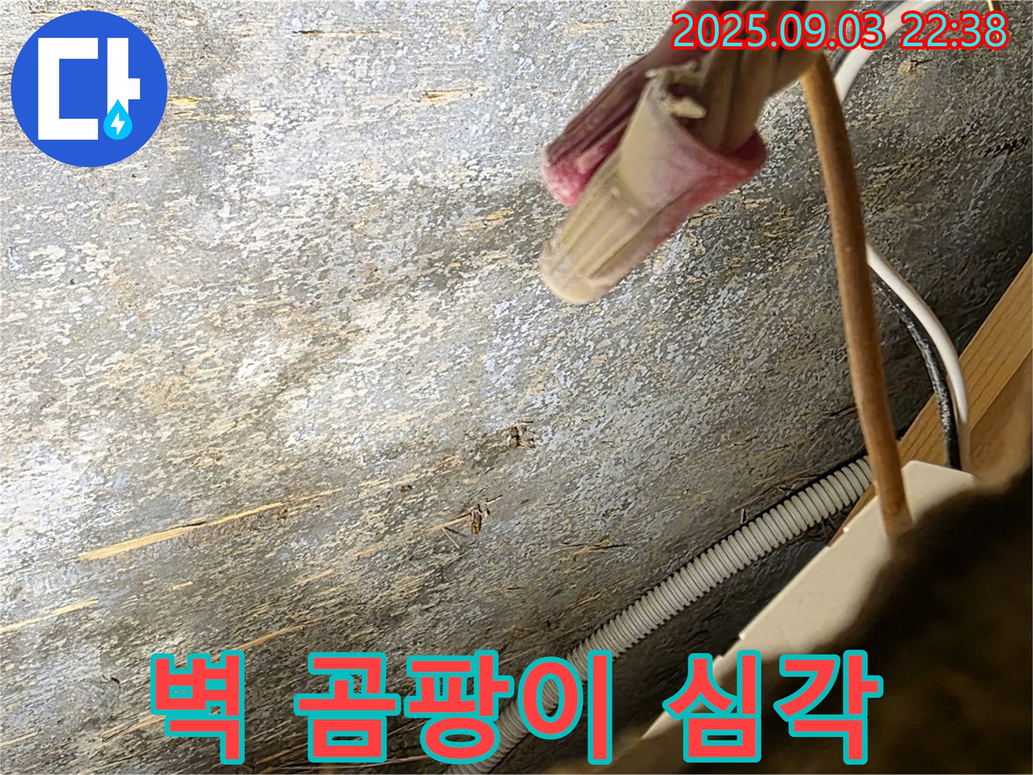 용산구 한강로2가 누수 - 벽면에 심각하게 발생한 곰팡이