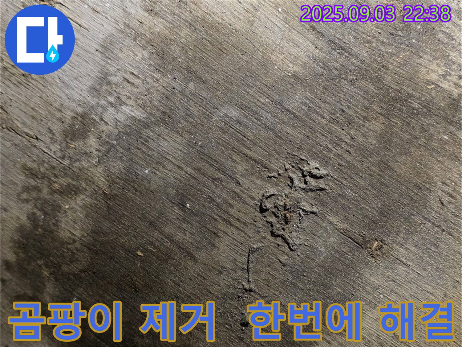 용산구 한강로2가 누수 현장 - 누수 해결 후 곰팡이 제거까지 한 번에 해결해 드립니다.