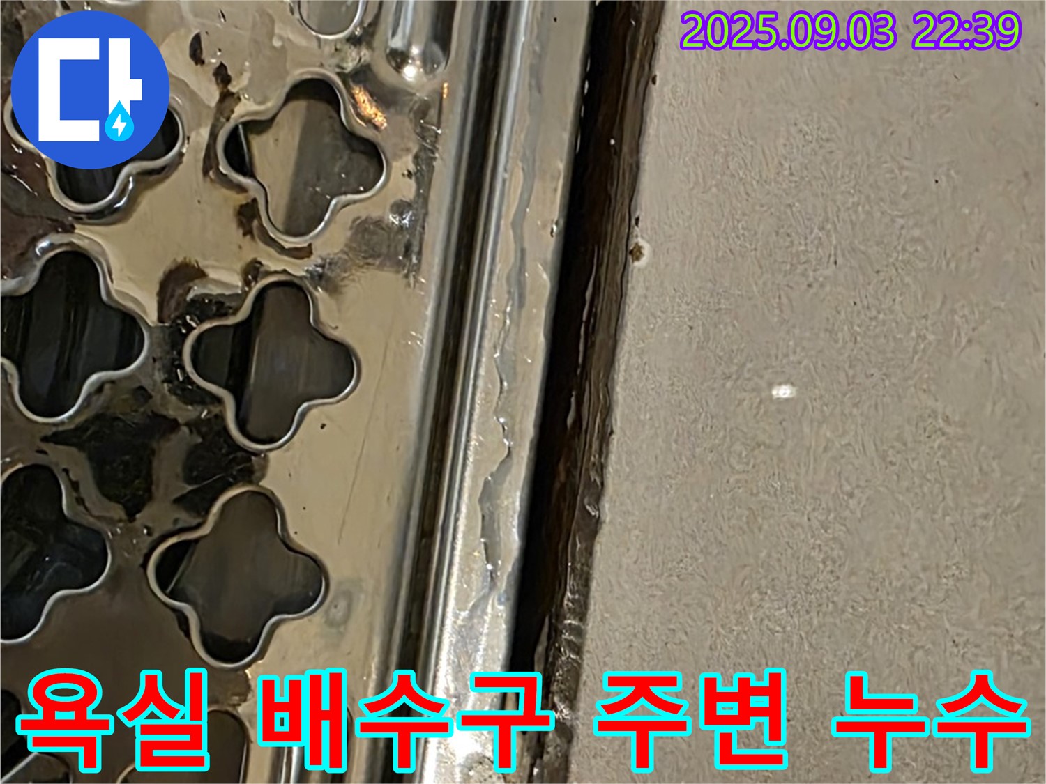 용산구 한강로2가 욕실 배수구 주변 누수 - 타일 틈새 손상으로 인한 누수 발생