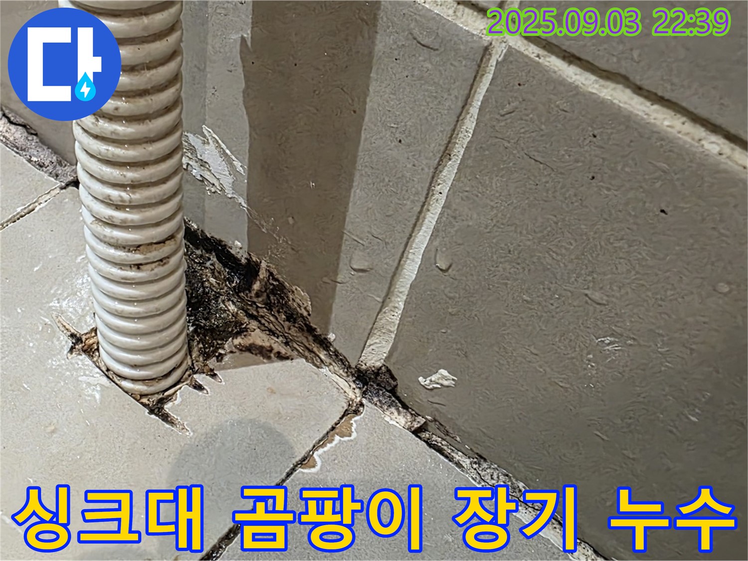 한강로2가 누수 - 싱크대 하부장 곰팡이를 확인하고, 누수 장기화를 의심하여 정밀 점검했습니다.