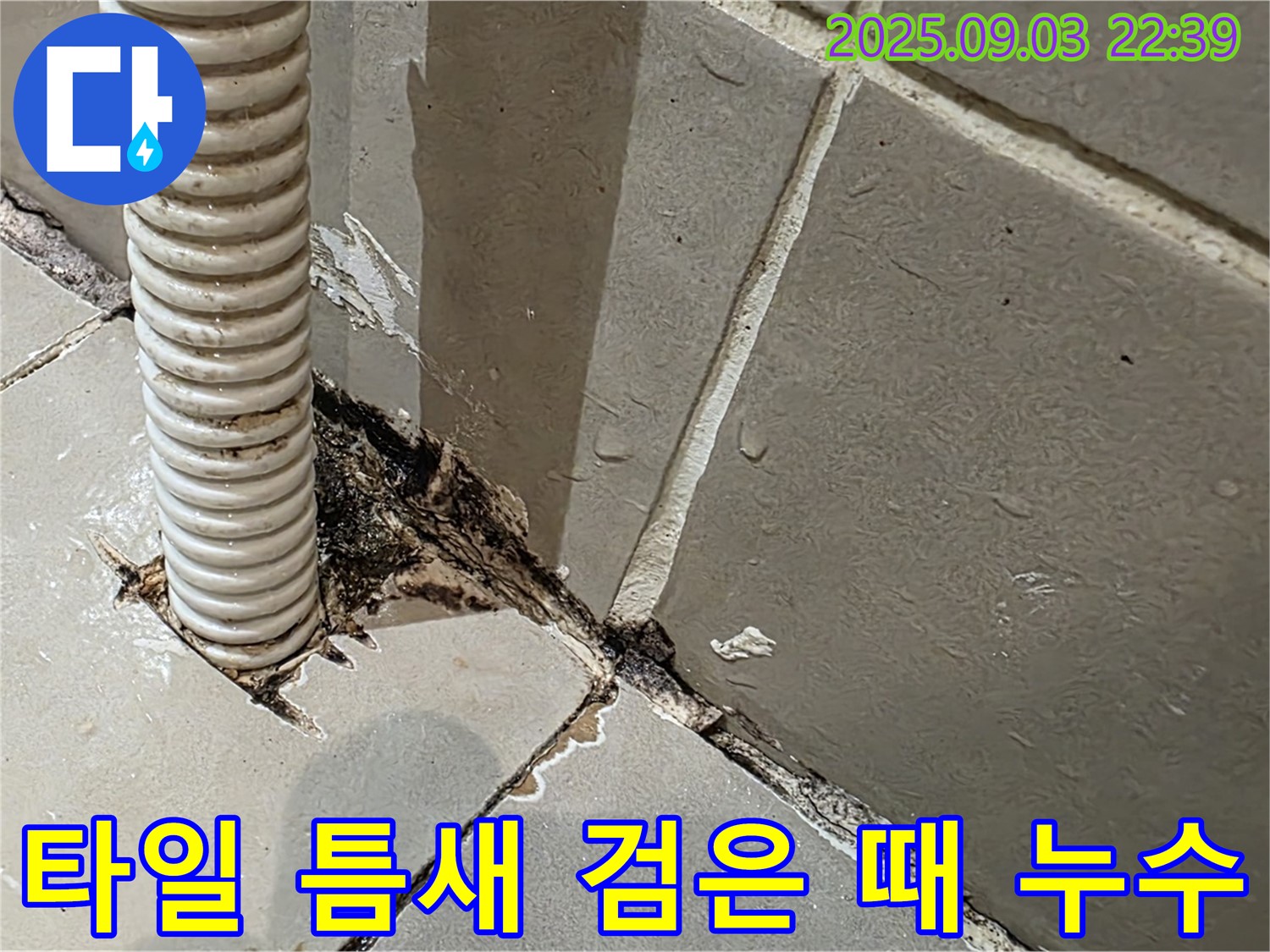 한강로2가 누수 - 타일 틈새 검은 때를 누수로 인한 오염으로 판단하고, 정밀 점검을 실시했습니다.