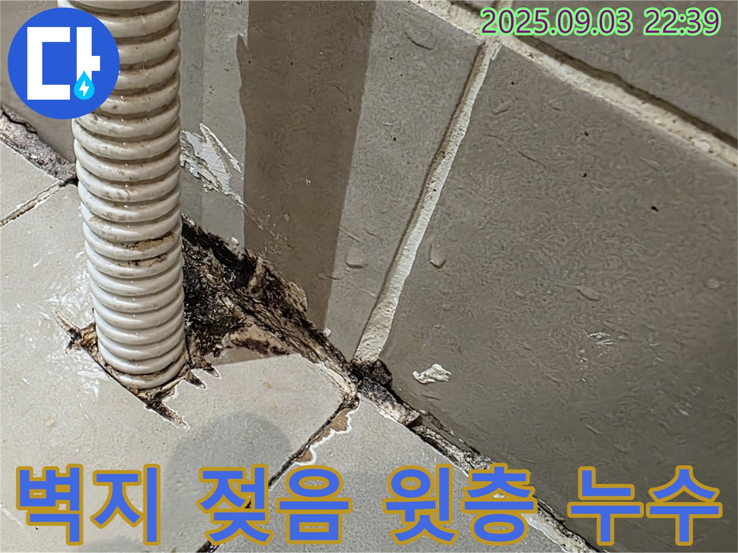 한강로2가 상가 누수 - 벽지 젖음을 확인하고, 윗층 누수를 의심하여 윗층을 방문 조사했습니다.