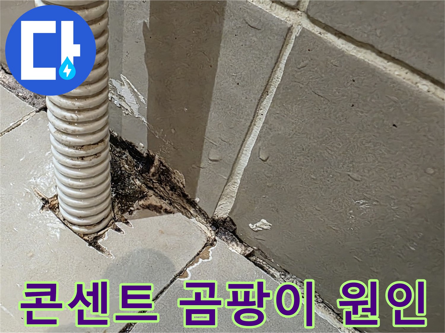 한강로2가 상가 누수 - 콘센트 배관 주변 곰팡이 원인 파악 및 해결