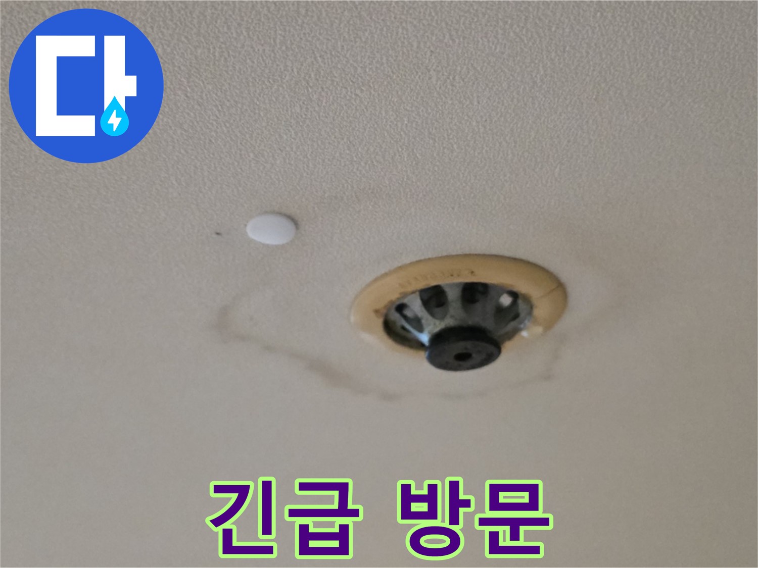 스프링클러 누수 - 신속한 방문