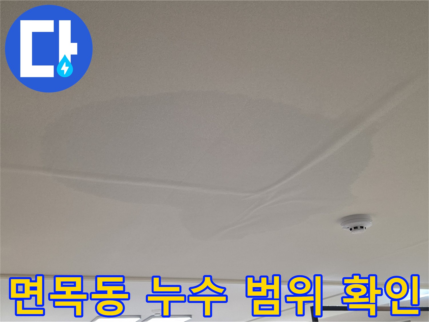아랫집 천장 누수 - 넓은 범위 물 얼룩 - 누수 피해 범위 확인 및 진단