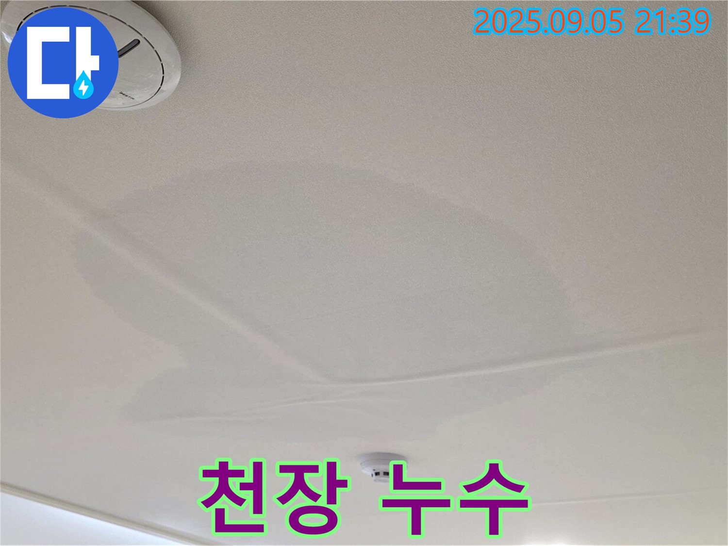 면목동 센트럴아이파크 천장 누수 - 젖어있는 천장
