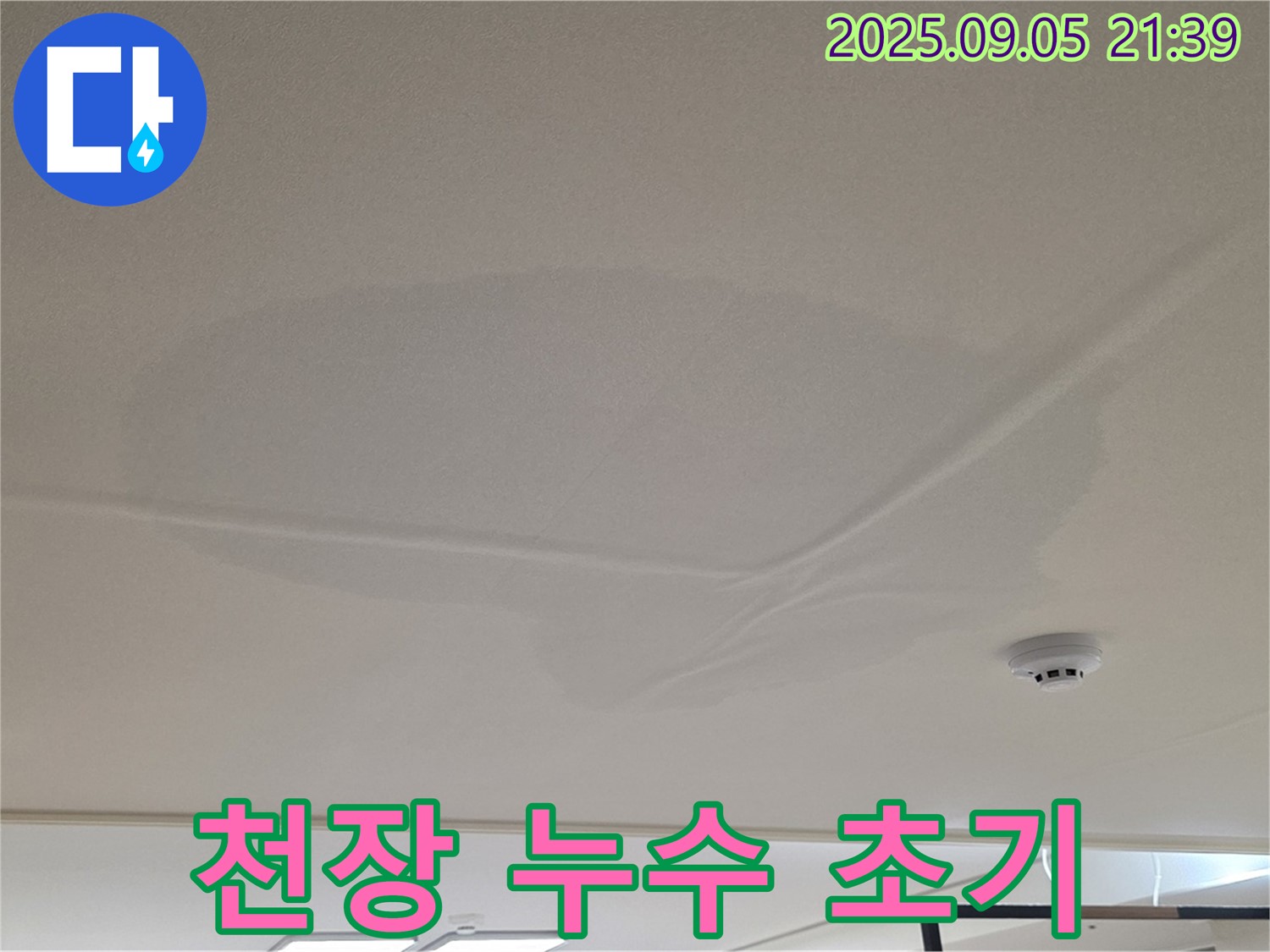 면목동 아파트 천장 누수 - 초기 누수 발견, 젖은 천장