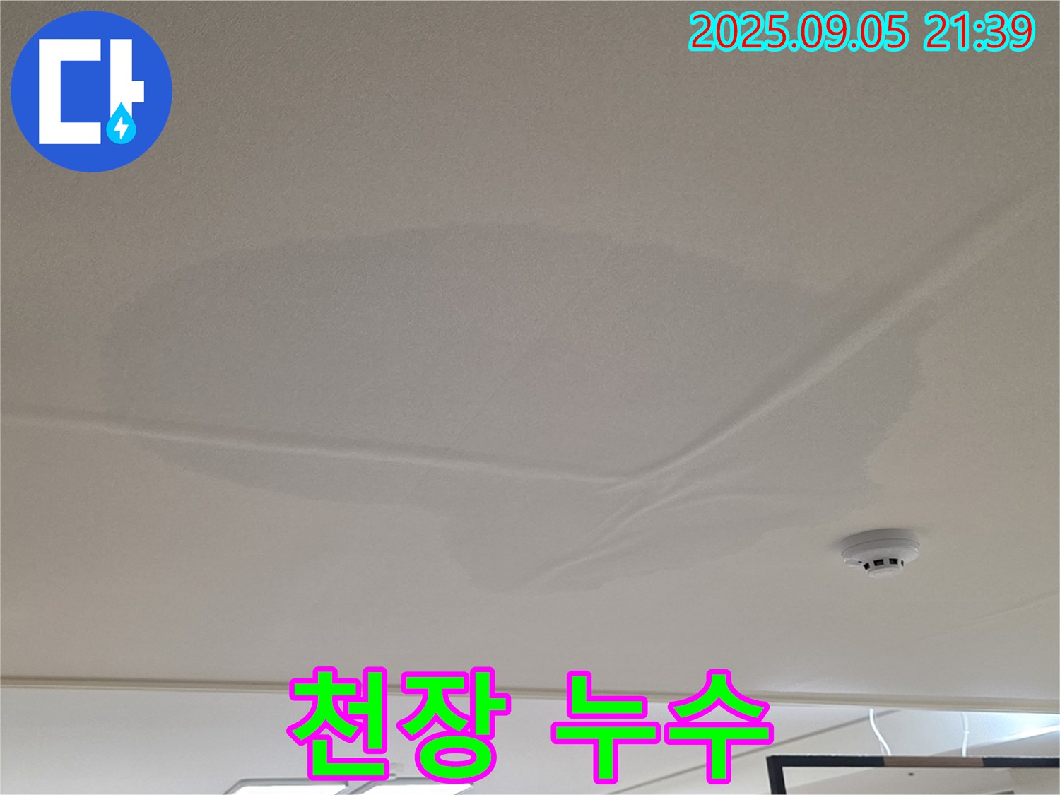 사가정 아파트 누수 - 천장 누수 피해, 젖어있는 천장