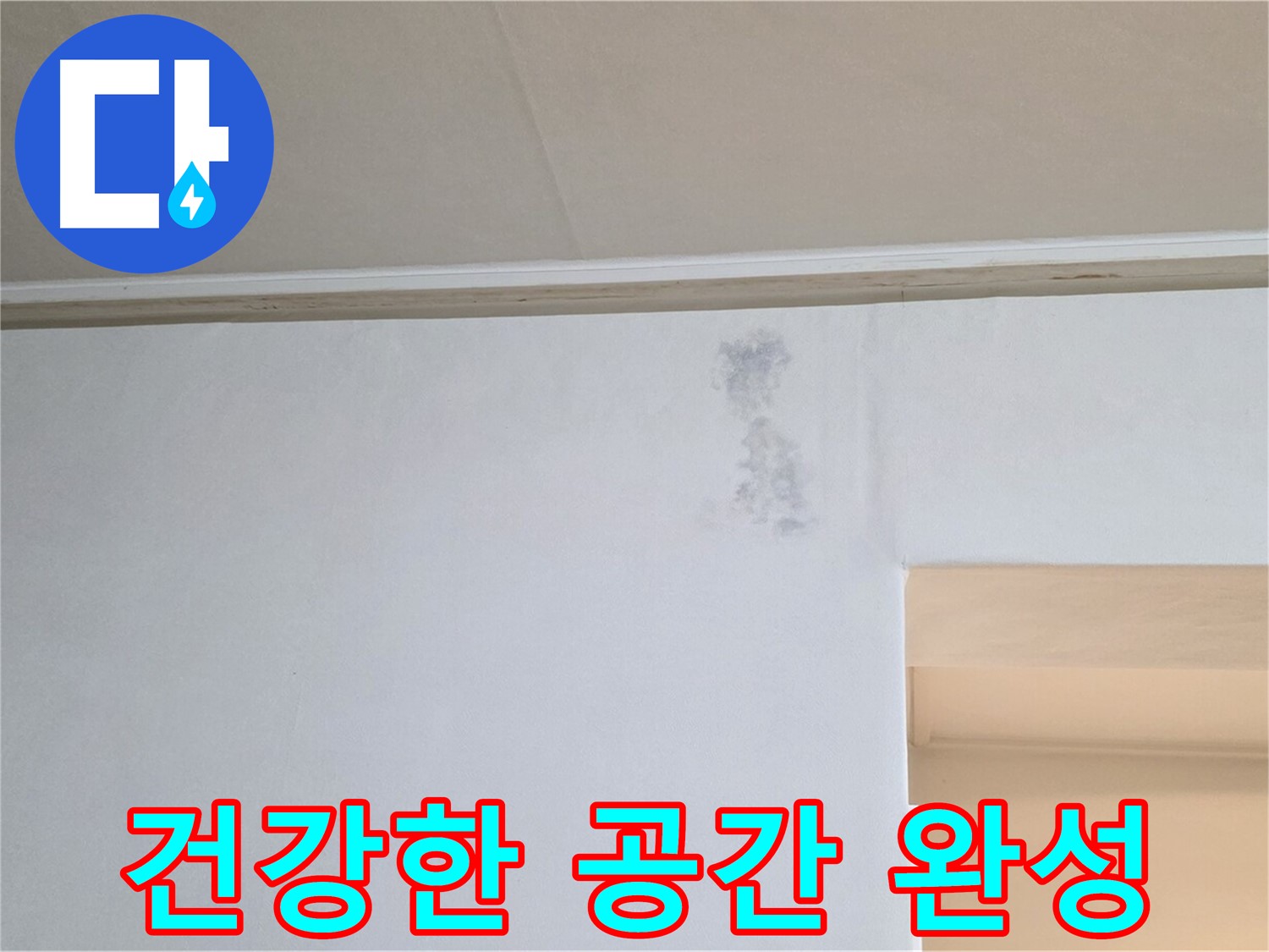 그림자 얼룩 없는 건강한 공간 - 행복한 삶으로 초대