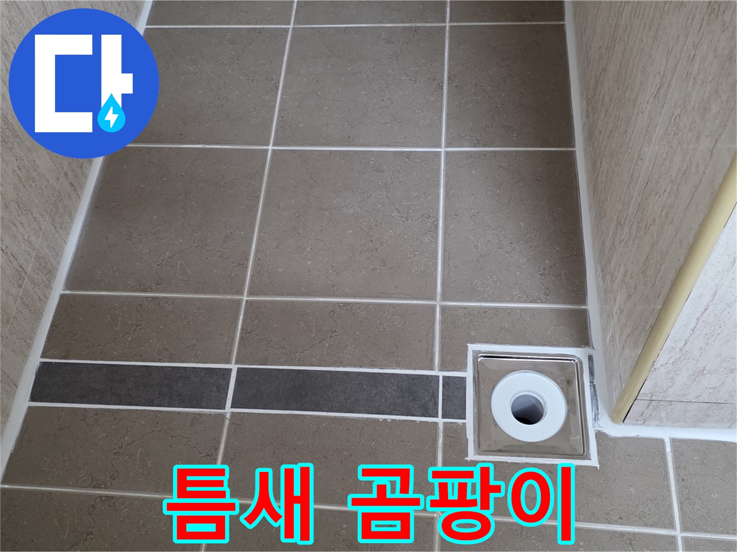 배수구 주변 타일 틈새 - 곰팡이 발생