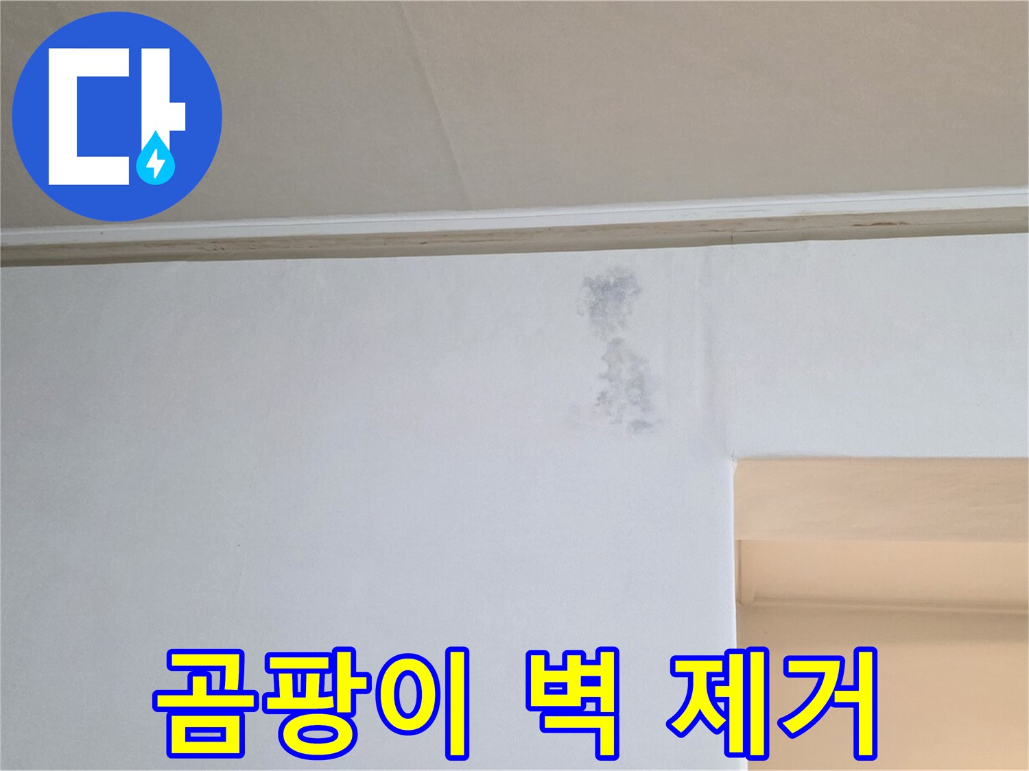 벽 곰팡이 완벽 제거 - 쾌적한 공간