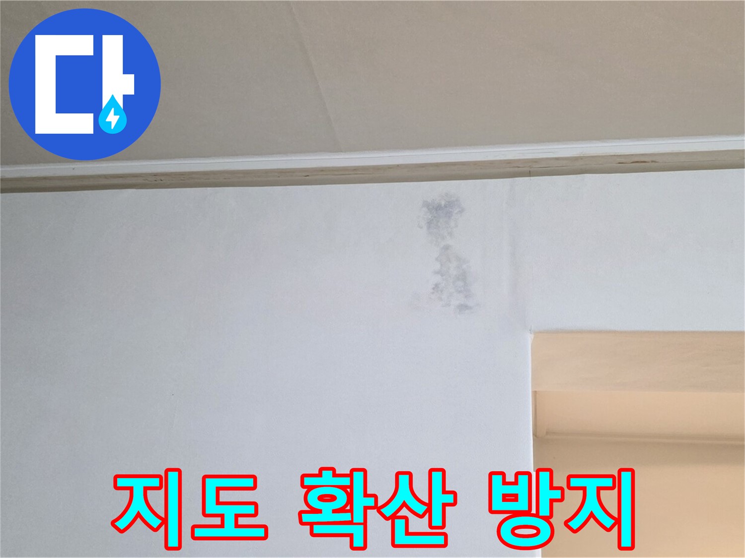 벽 곰팡이 지도 확산 방지 - 신속 조치 약속