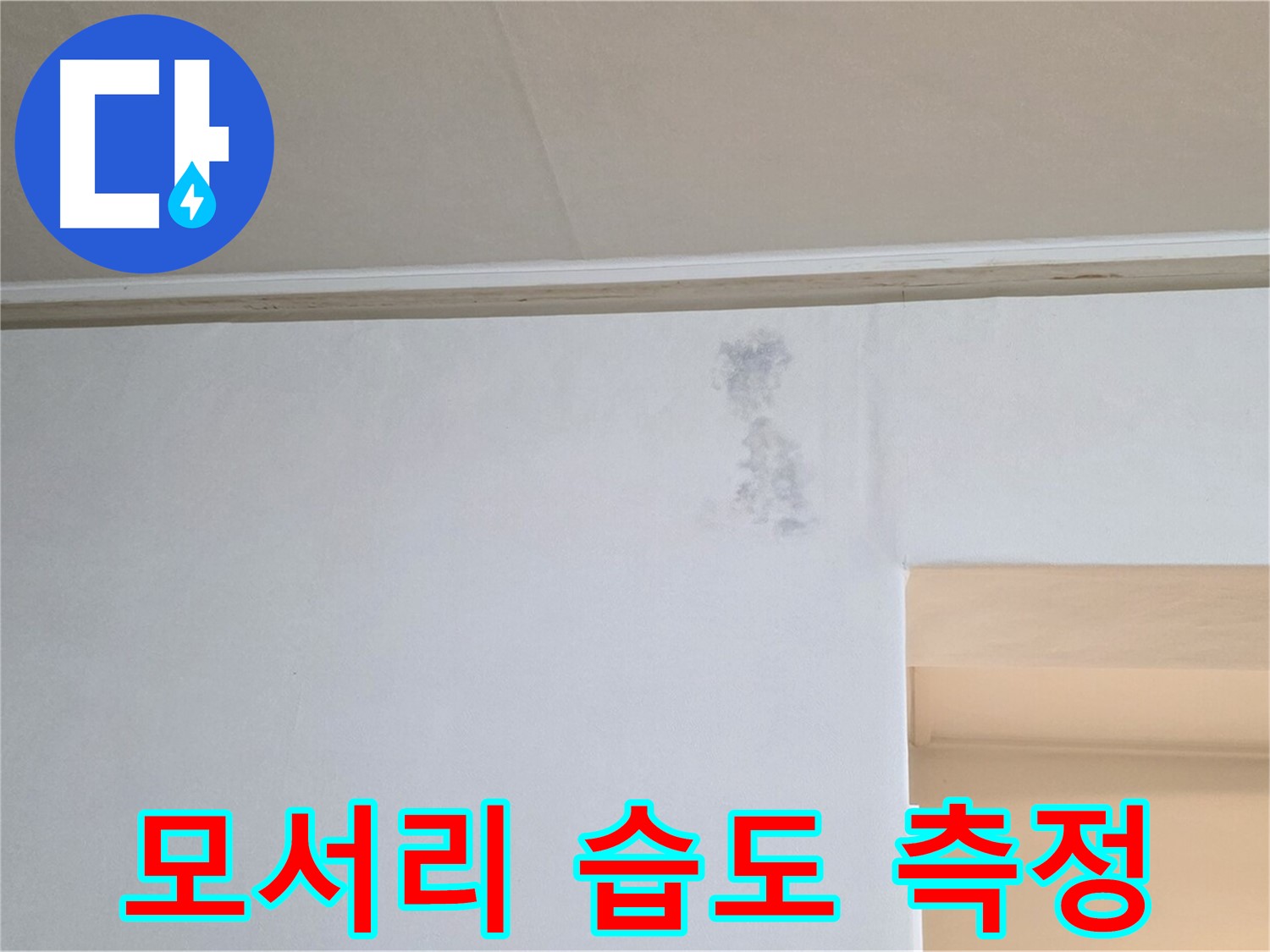 벽 모서리 곰팡이 습도 측정 - 누수 진단