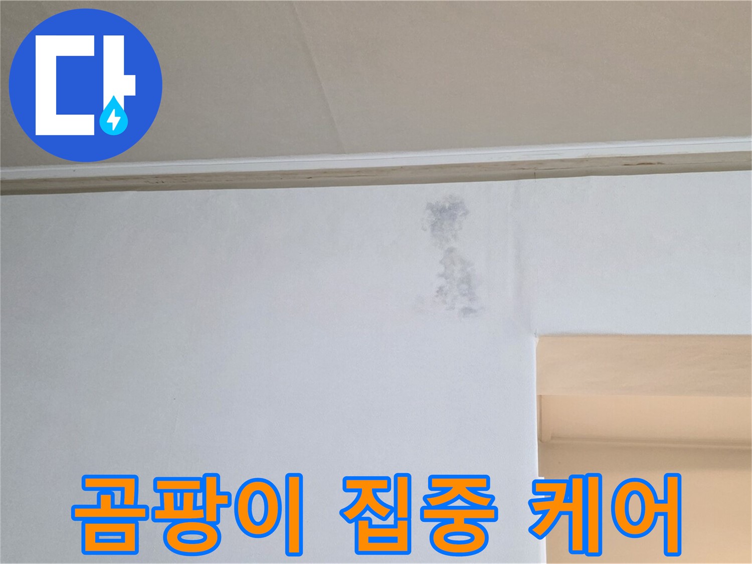 벽 모서리 곰팡이 집중 케어 - 맞춤 솔루션 제공