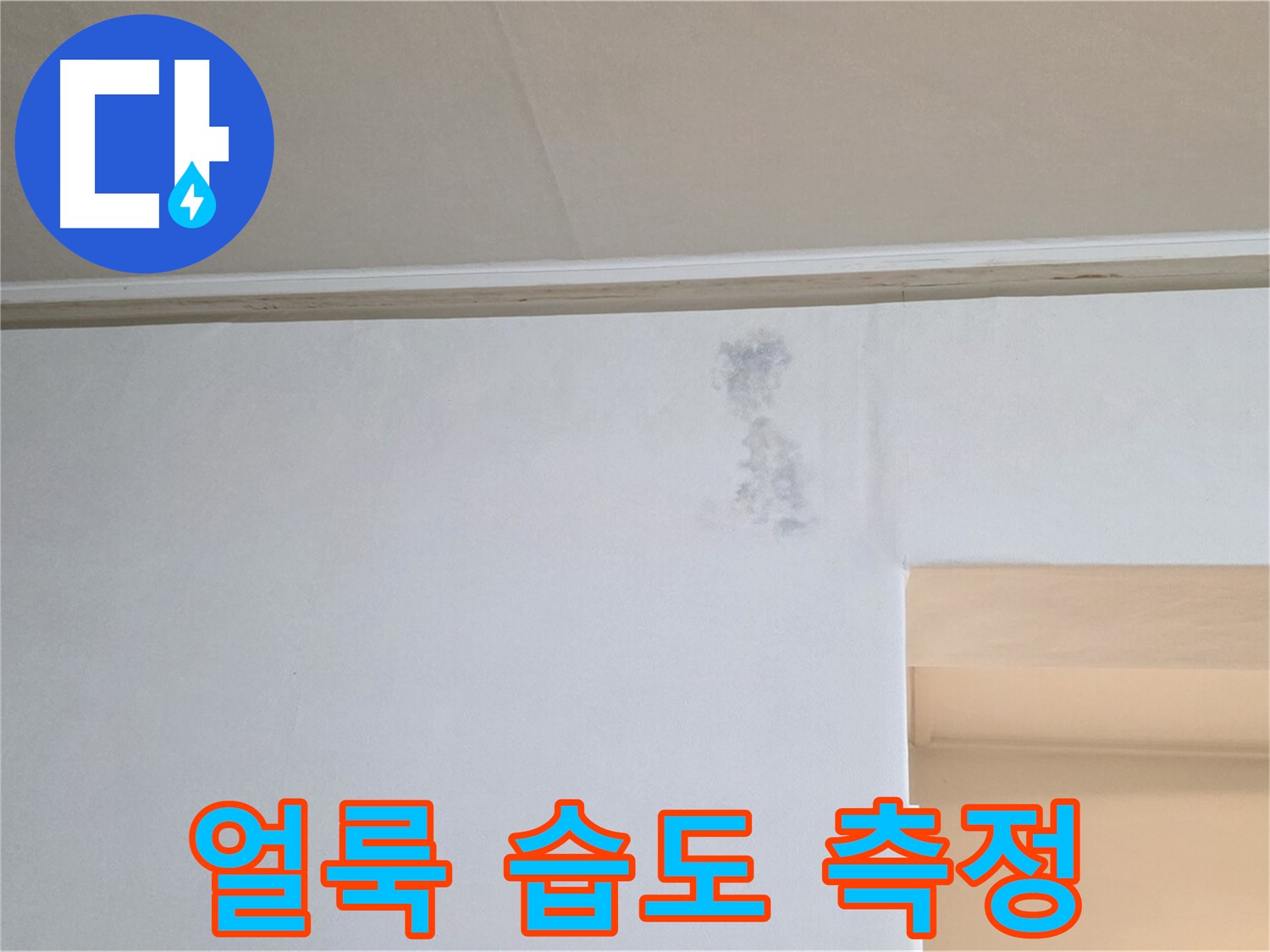 벽 얼룩 습도 측정 - 누수 & 곰팡이 정밀 검사