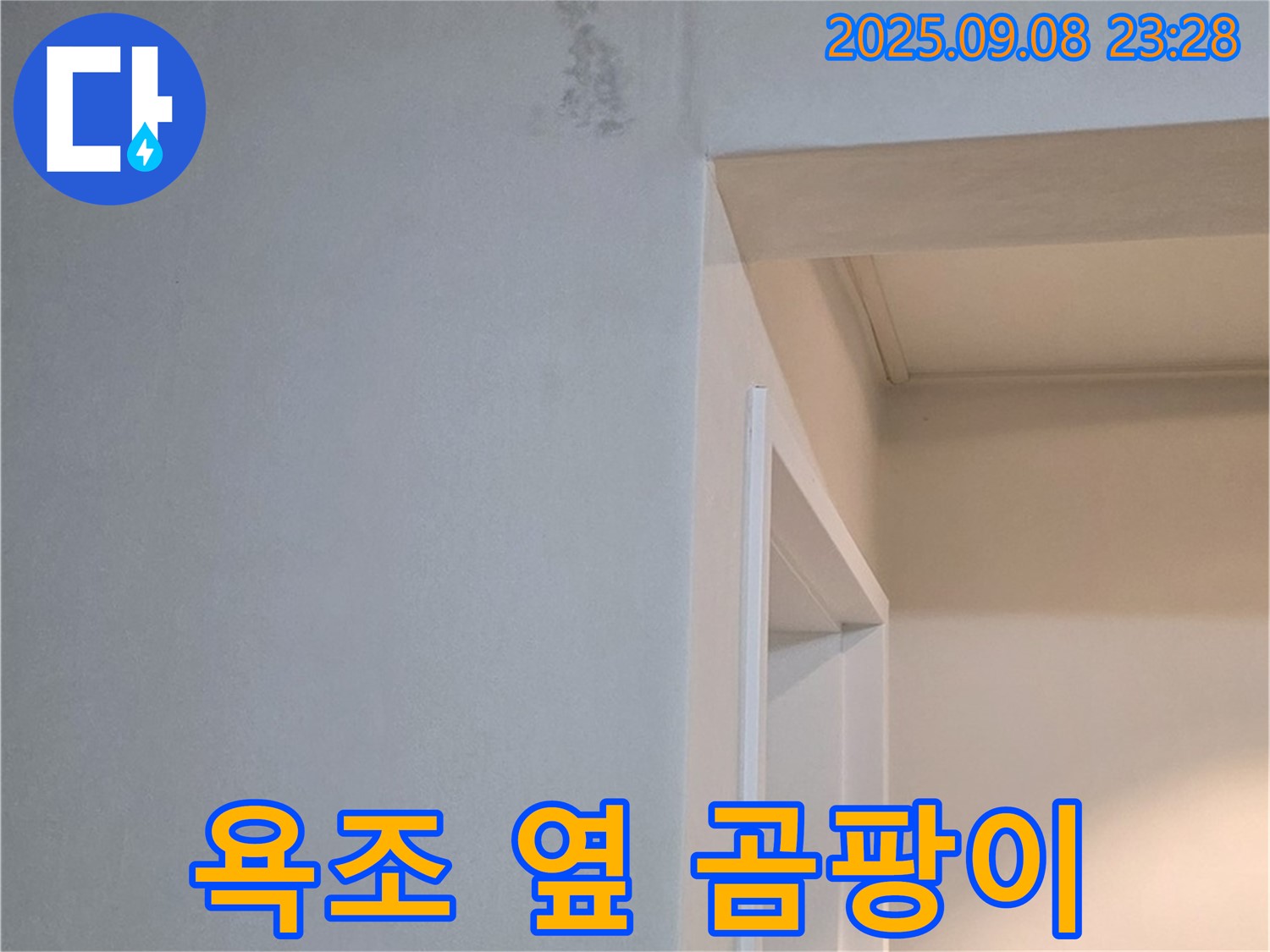 욕조 옆 곰팡이 - 완벽 제거, A/S 책임 보장