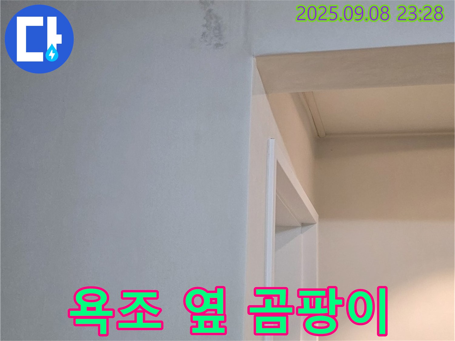 욕조 옆 곰팡이 - 원인부터 해결까지 책임 시공 약속