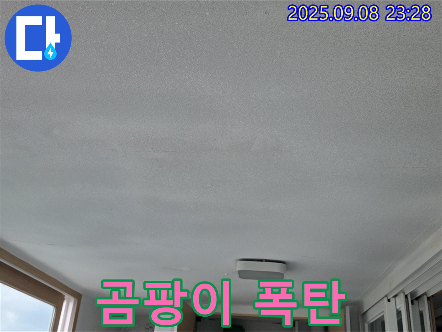 일동 기산베스트빌 아파트 누수 - 천장 물 얼룩, 곰팡이 폭탄 주의