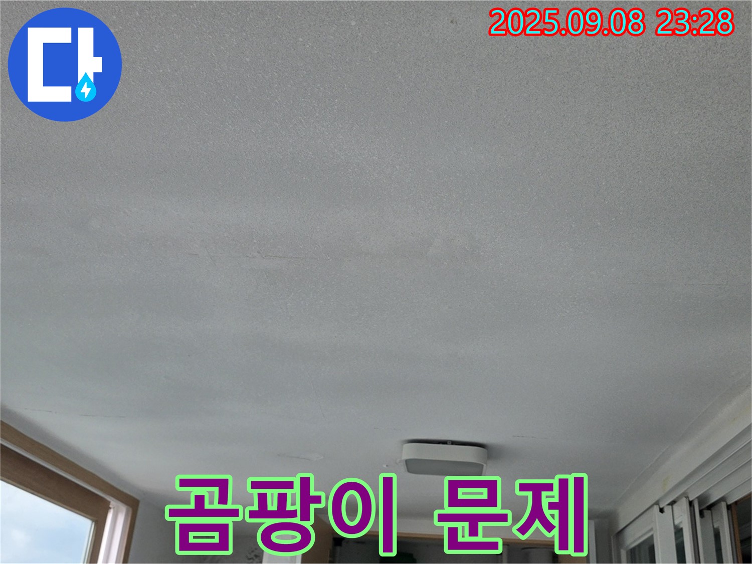 일동 운악리 기산베스트빌 아파트 누수 - 천장 곰팡이, 건강 위협