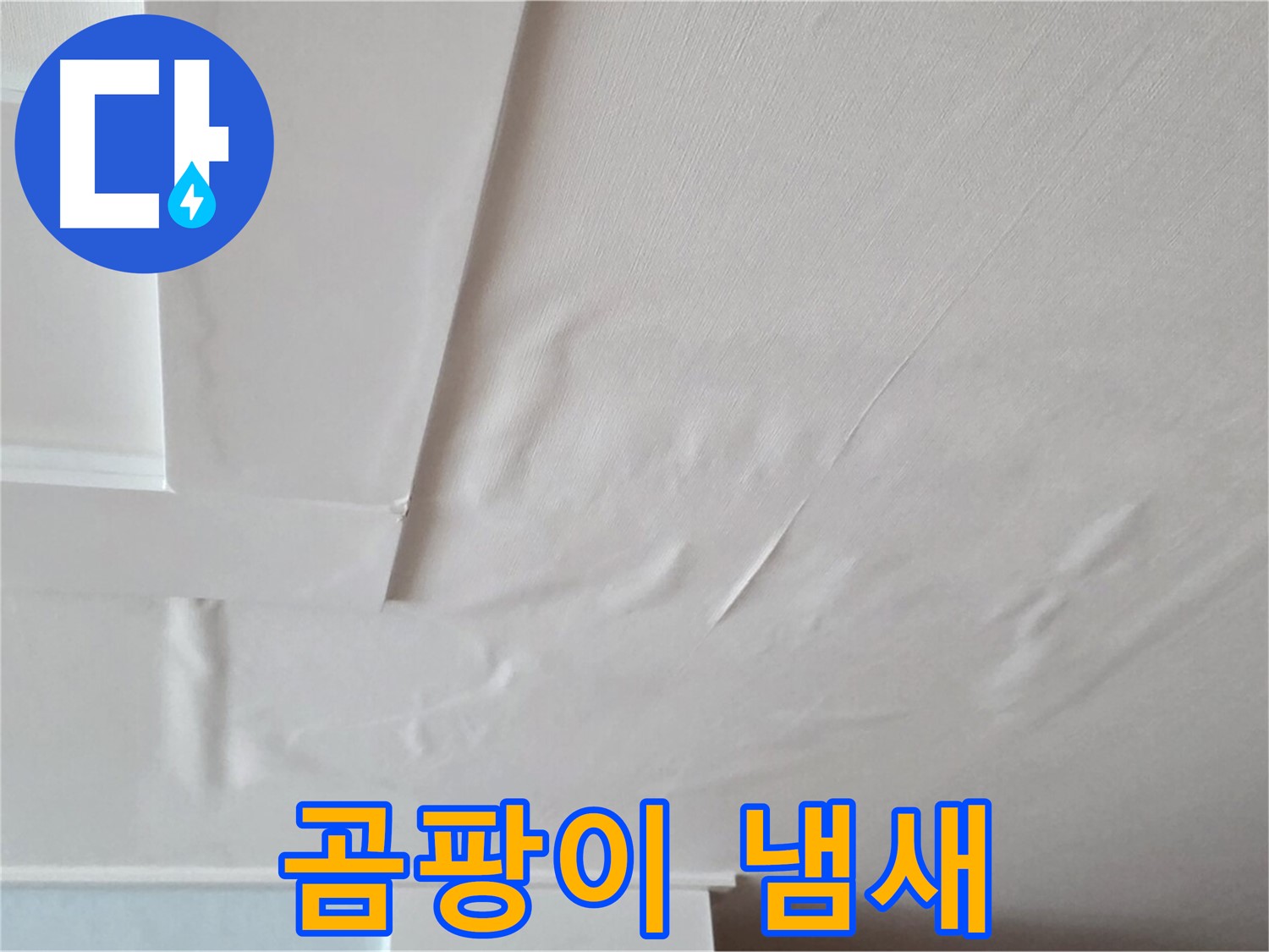 일동기산베스트빌 아파트 천장 누수 - 곰팡이 냄새 - 기억력 감퇴 - 치매 유발