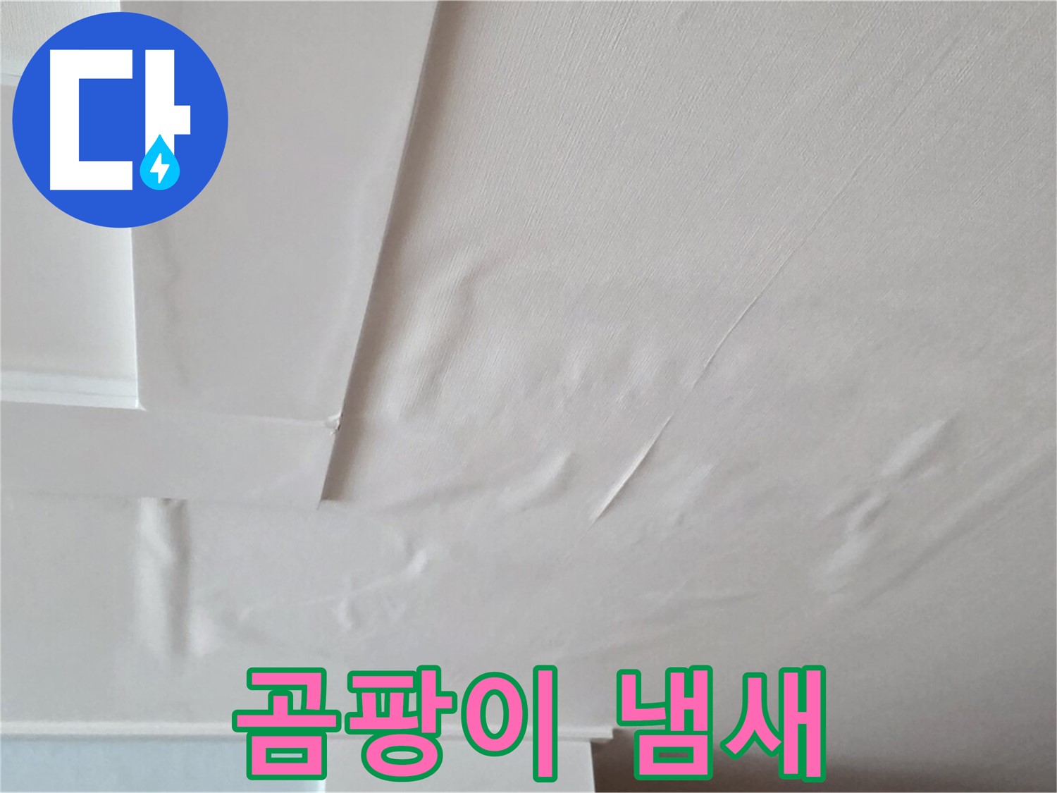 일동기산베스트빌 아파트 천장 누수 - 곰팡이 냄새 - 무기력증 유발