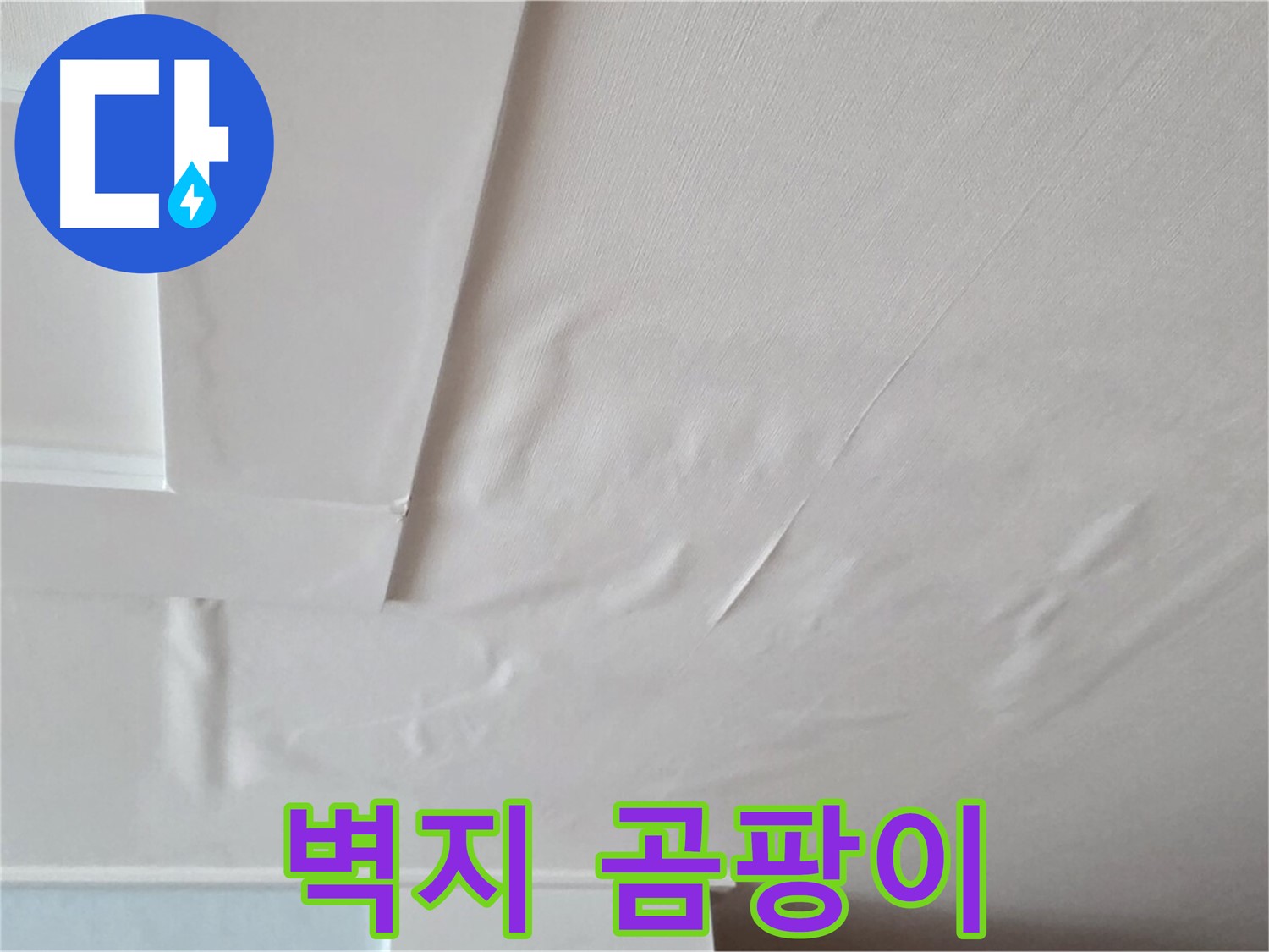 일동기산베스트빌 아파트 천장 누수 - 벽지 곰팡이 발생