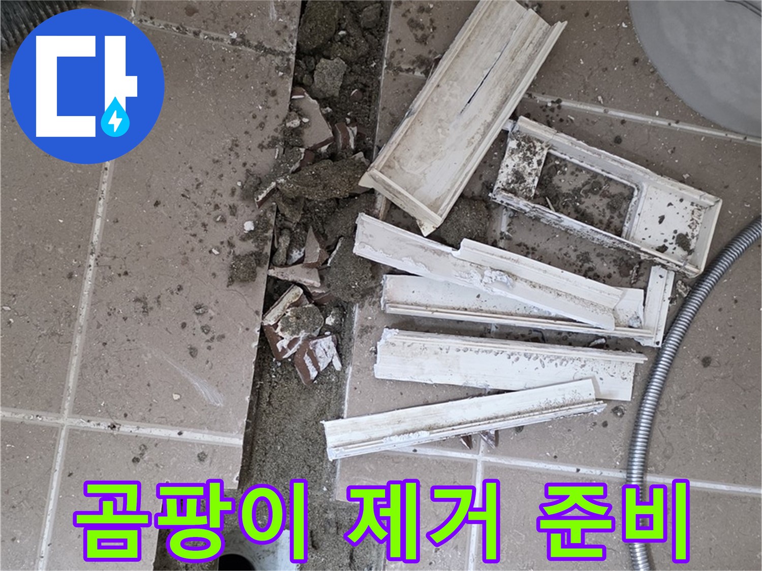일동면 트랜치 철거 후 배수구 주변 곰팡이 제거 및 방지 작업 준비 완료