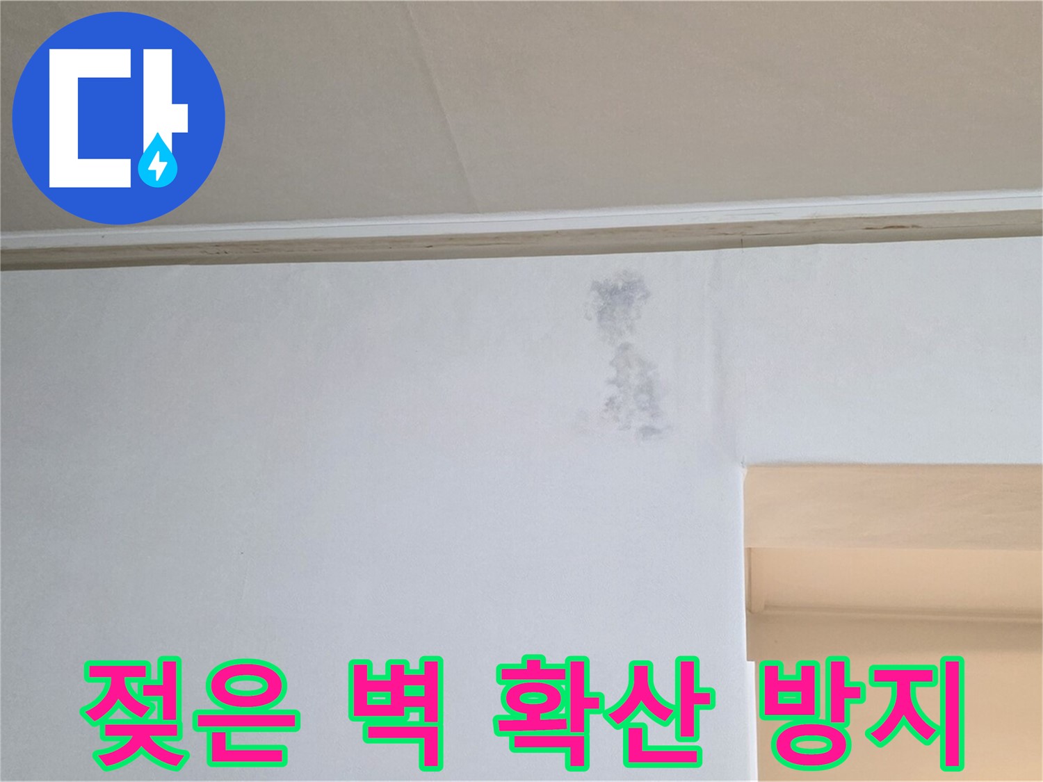 젖은 벽 확산 방지를 위한 신속한 방문 - 빠른 해결