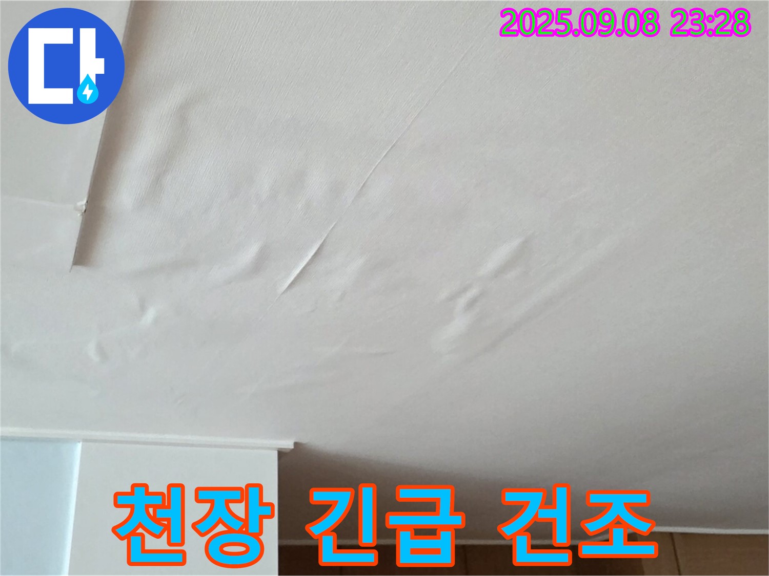 천장 누수 해결 - 젖은 천장 긴급 건조 및 습도 조절