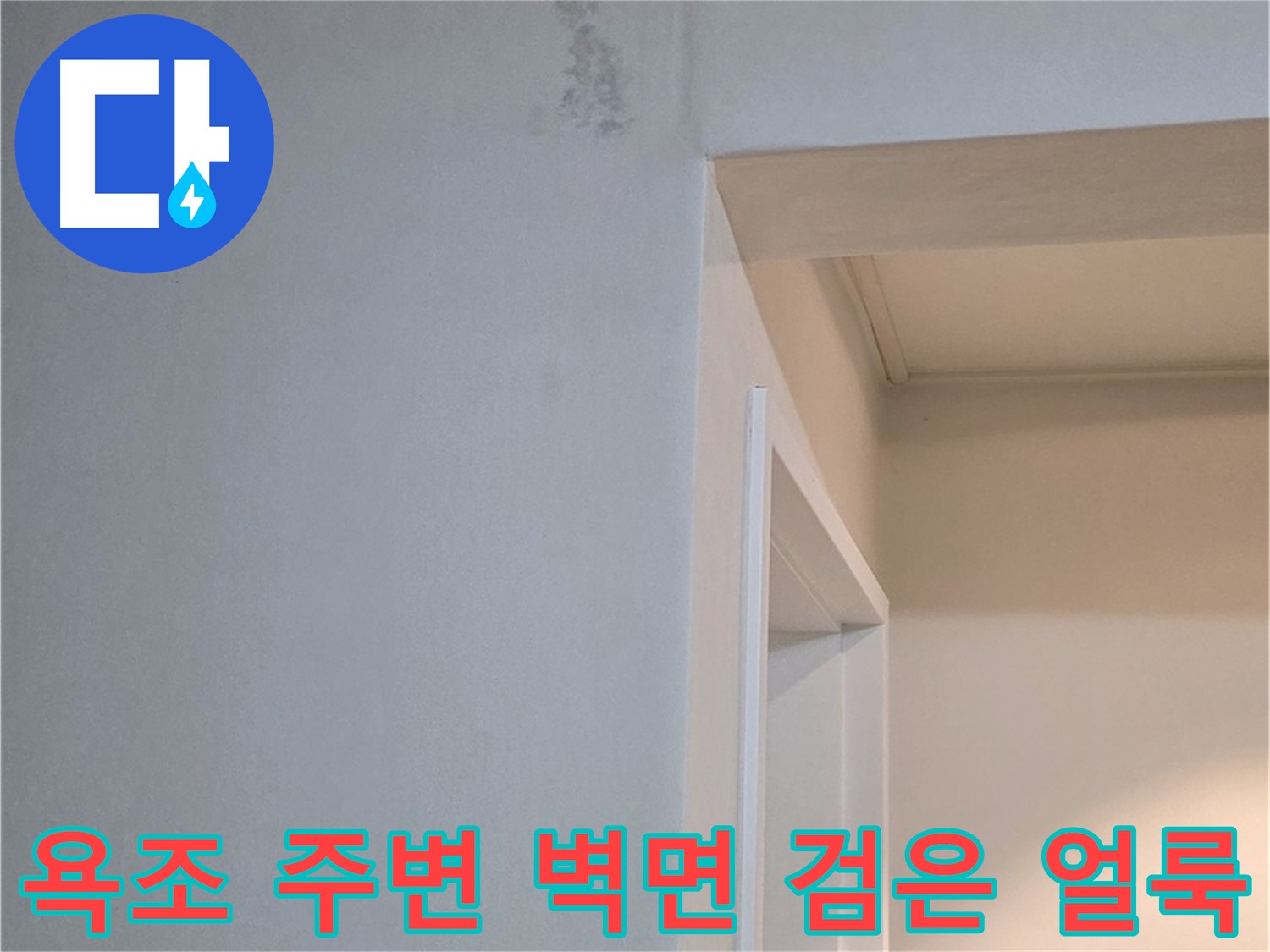 포천 일동 기산리 아파트 욕조 주변 벽면 검은 얼룩 - 누수 해결 및 곰팡이 제거