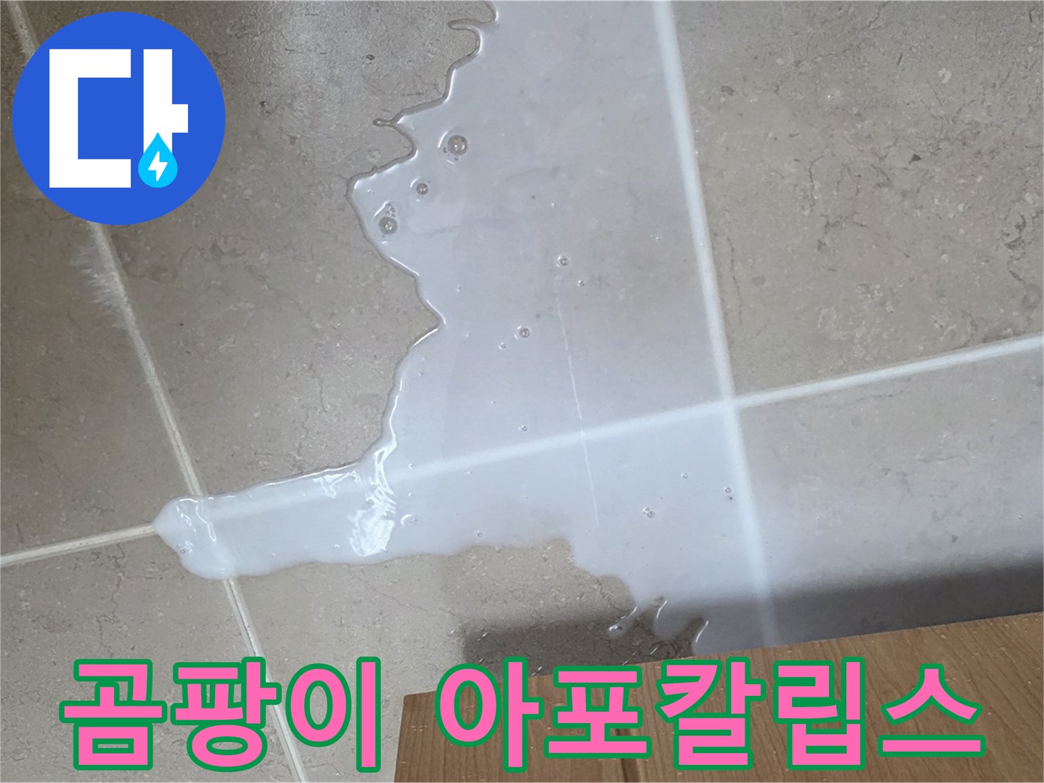 포천 일동 기산베스트빌 아파트 - 씽크대 누수로 인해 곰팡이가 무성하게 자라나는 모습 - 곰팡이 아포칼립스?!