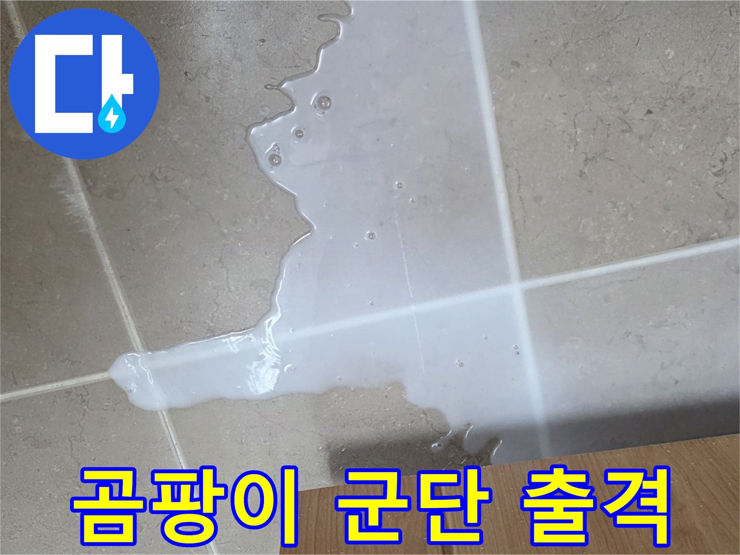 포천 일동 기산베스트빌 아파트 - 씽크대 누수로 인해 곰팡이가 번식하기 시작한 모습 - 곰팡이 군단 출격 준비?!