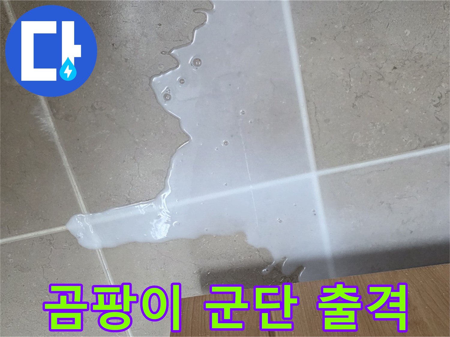 포천 일동 기산베스트빌 아파트 - 씽크대 누수로 인해 곰팡이가 번식하기 시작한 모습 - 곰팡이 군단 출격 준비?!