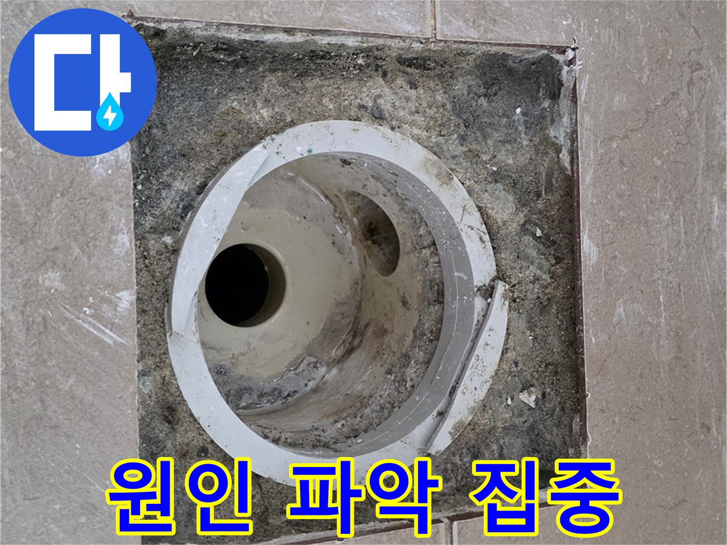 포천 일동 기산베스트빌 아파트 하수구 누수 - 누수 원인 파악 집중