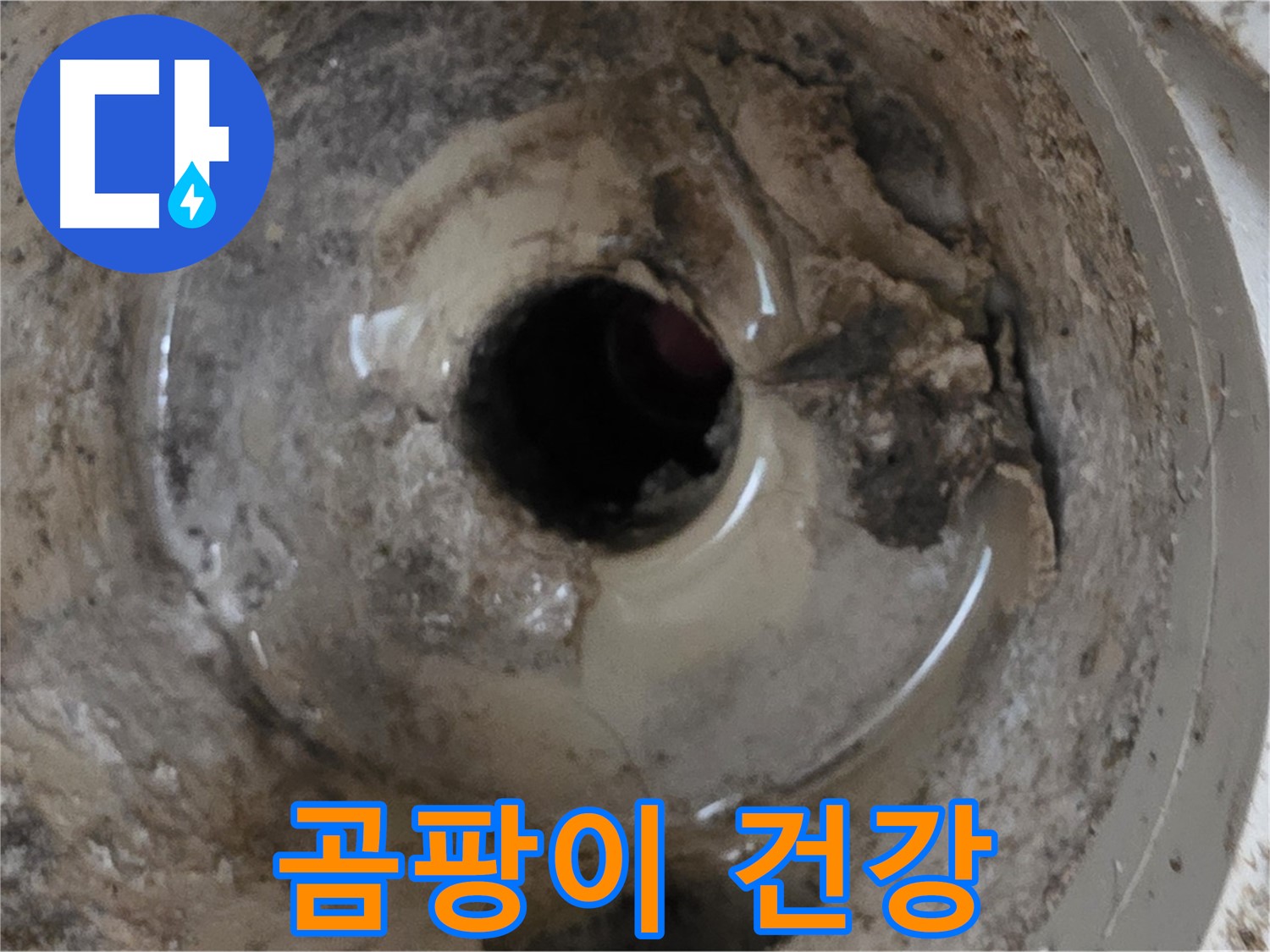 포천 일동 - 누수와 곰팡이, 베란다 배수구 문제 해결! 건강까지 지키세요!