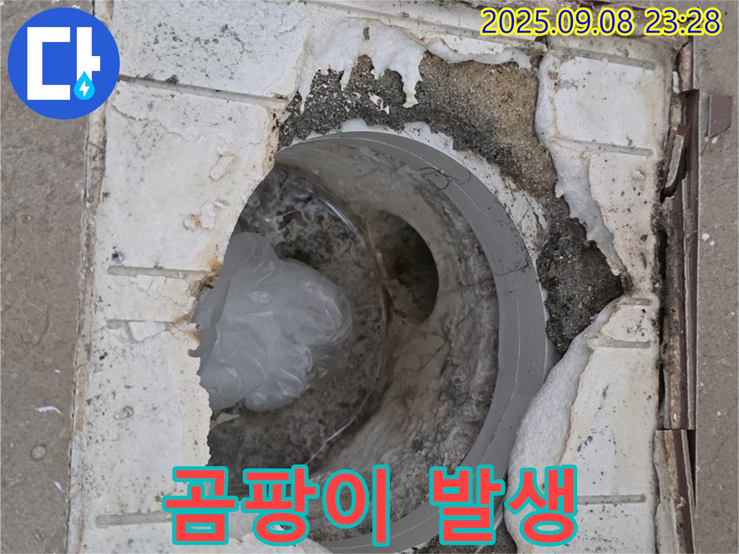 포천 일동 베스트빌 아파트 - 욕실 배수구 주변 곰팡이 발생