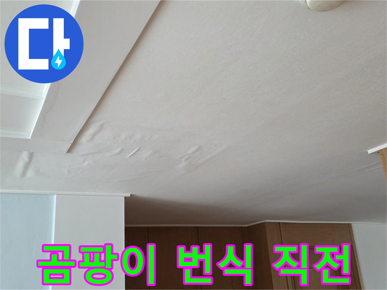 포천 일동 아파트 누수 - 곰팡이 번식 직전 누수 해결