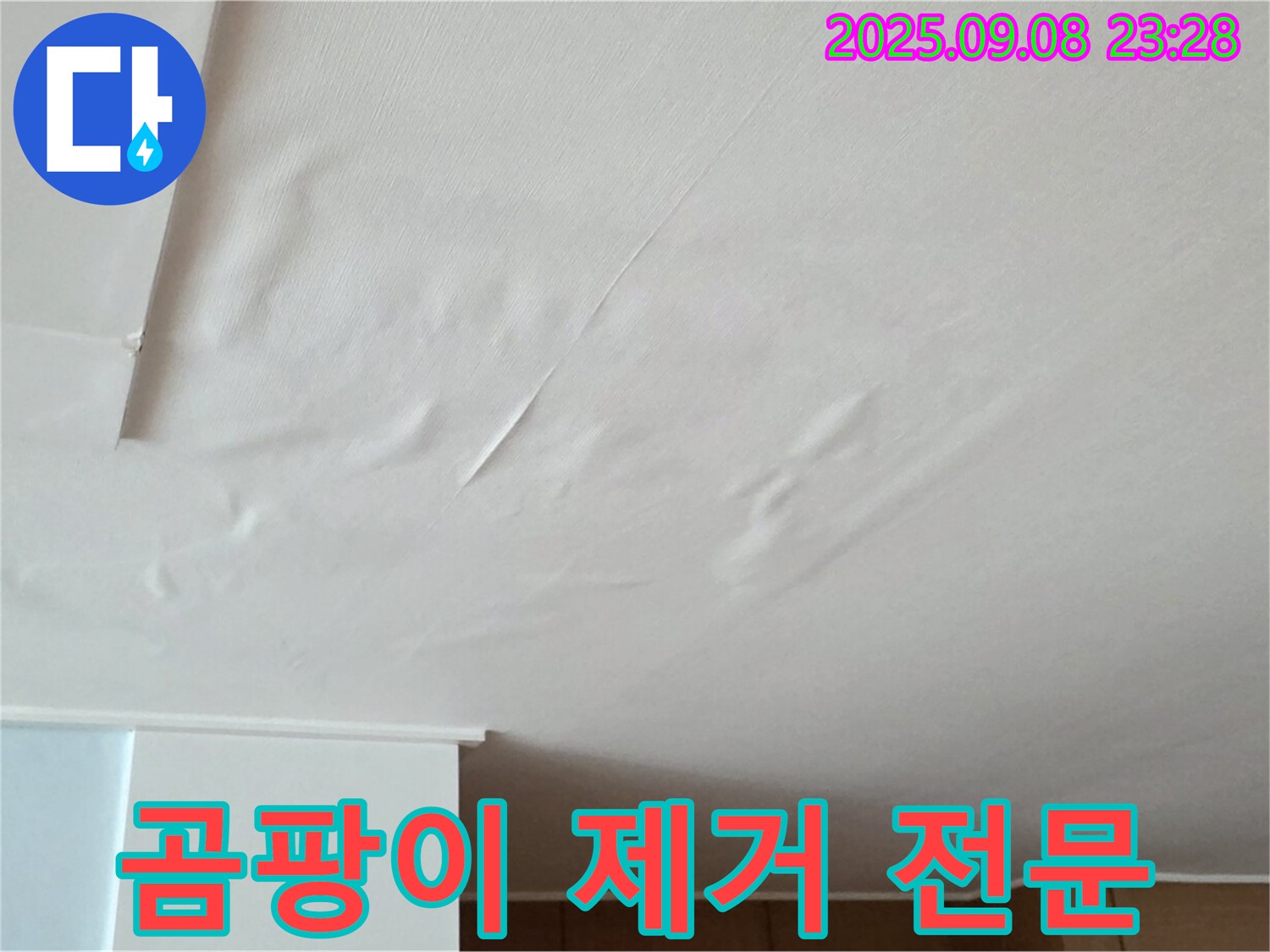 포천 일동 아파트 누수 - 젖은 천장, 벽지 곰팡이 제거 전문 - 깨끗한 환경