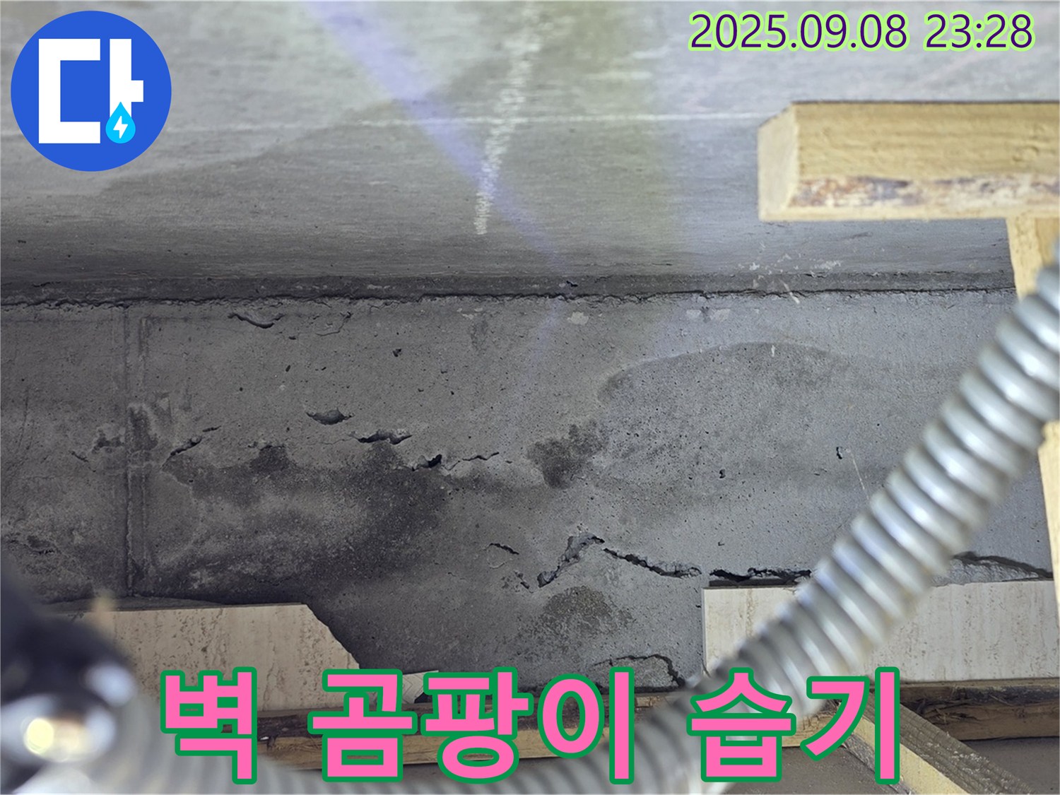 포천 일동 아파트 누수 - 콘크리트 벽, 곰팡이 발생, 누수와 습기 문제