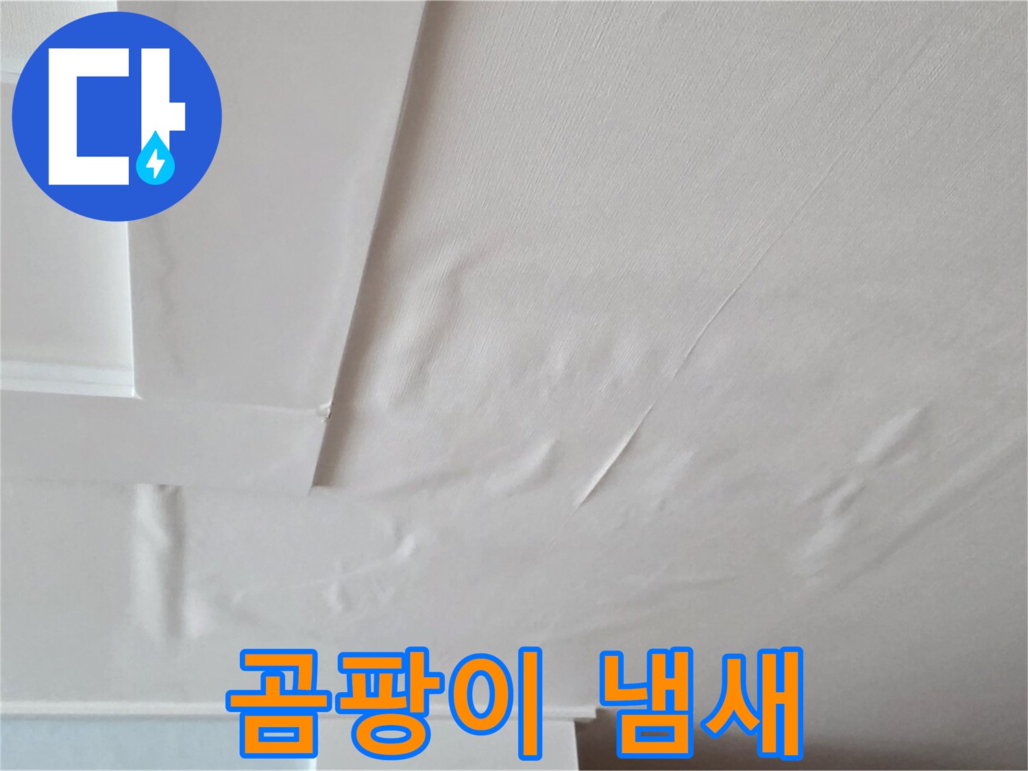 포천 일동 아파트 천장 누수 - 곰팡이 냄새 - 집중력 저하 - 업무 효율성 감소