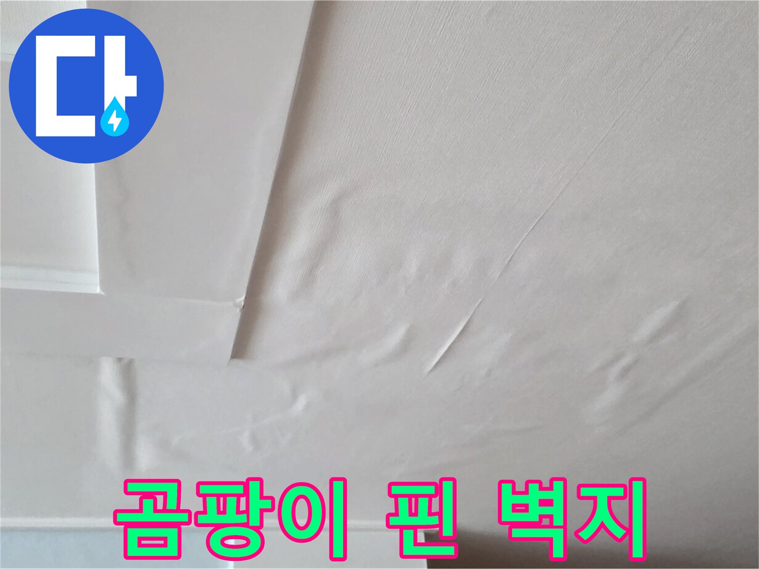 포천 일동 아파트 천장 누수 - 곰팡이 핀 벽지 - 두드러기 유발