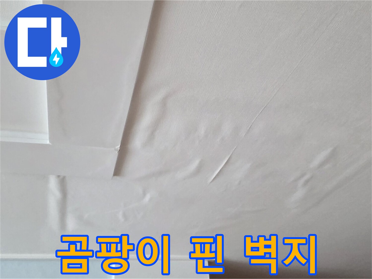 포천 일동 아파트 천장 누수 - 곰팡이 핀 벽지 - 두드러기 유발